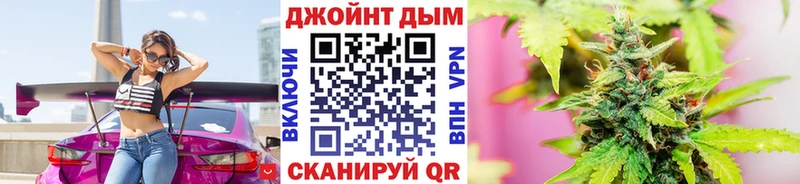 Каннабис сатива  Тайга 